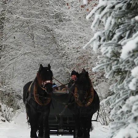 Felder Διαμέρισμα