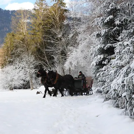 Διαμέρισμα Felder