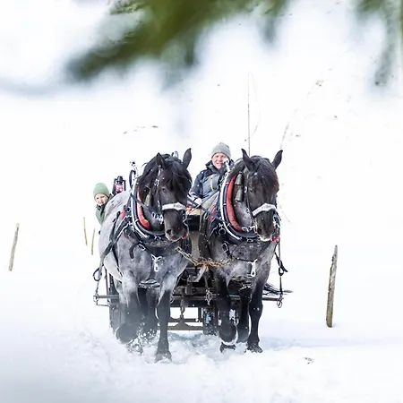 Felder Διαμέρισμα