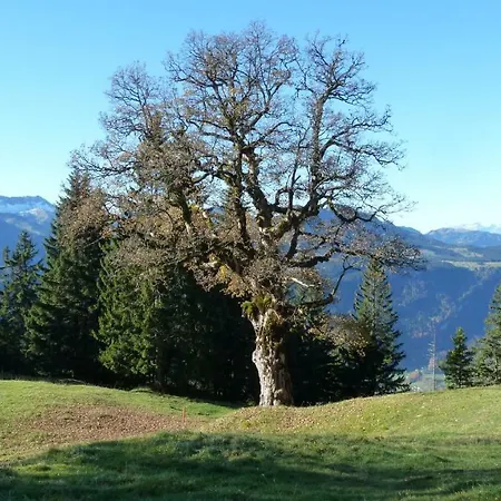 Διαμέρισμα Felder