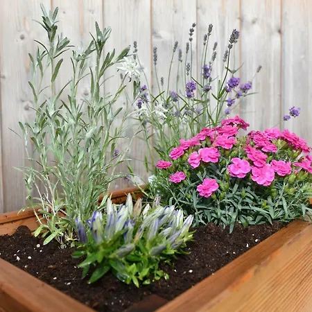 Felder Διαμέρισμα